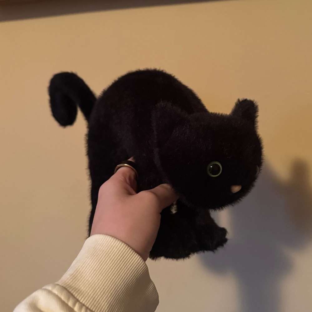 Jellycat Spookipaws Black Cat BNWT
